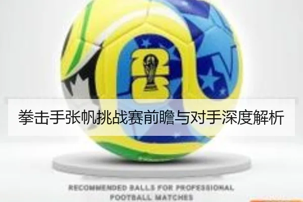 拳击手张帆挑战赛前瞻与对手深度解析